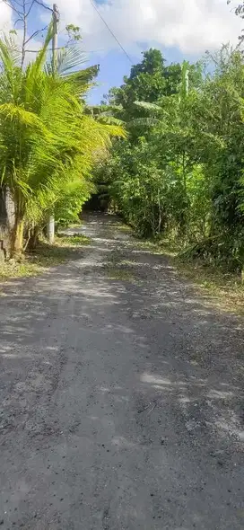 Di kontrakan tanah strategis jalan toyaning, Ungasan ,Bali