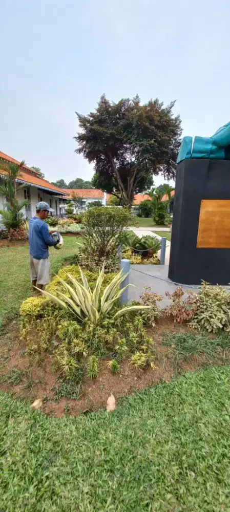 Taman/tukang taman minimalis/taman rumah/jasa pasang taman/bikin taman