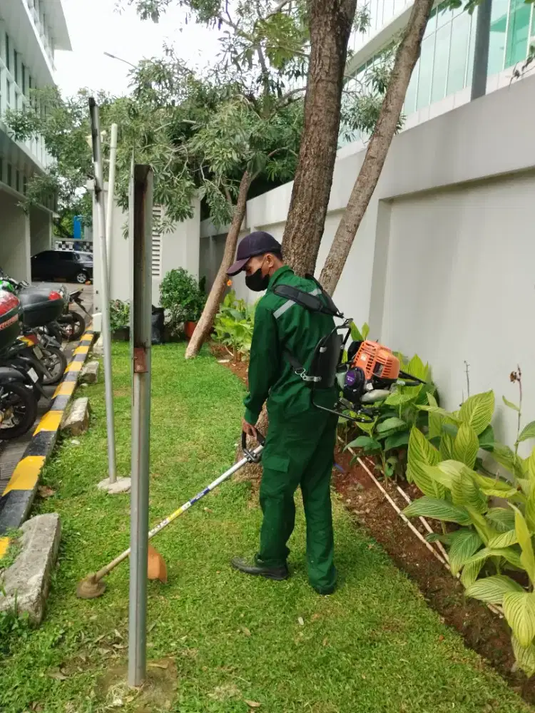 Jasa Potong Rumput