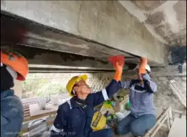 Ahli Perkuatan Struktur Beton, CarbonWrap Carbon FRP, Jacketing Kolom