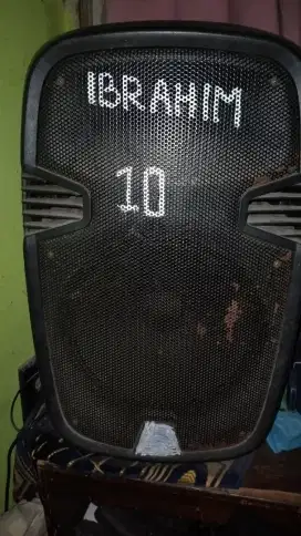 Speaker portable 12 in