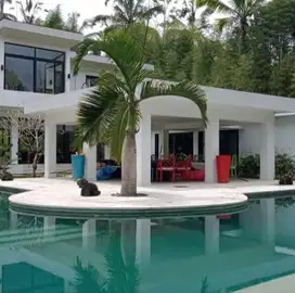 villa view menawan sebatu gianyar