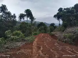 Tanah subur cocok untuk berkebun sambil bikin villa Lt 1500 m² murah