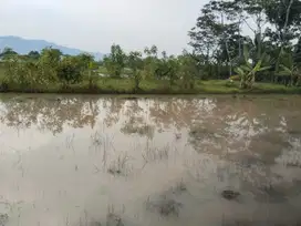 Tanah sawah jelekong bale endah kab bandung