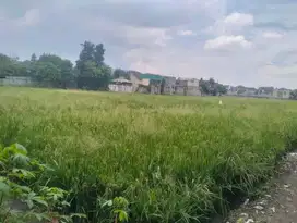 Tanah Sawah 1,6 Ha Margacinta  Ciwastra Bandung