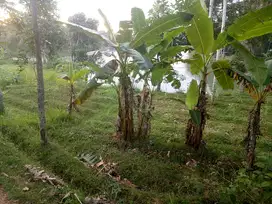 Tanah view waduk darma