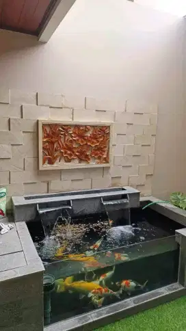 Tukang Kolam Ikan Koi