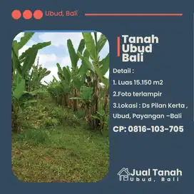 Jual tanah di Payangan,Ubud - Investasi Menjanjikan Dekat Resort Padma