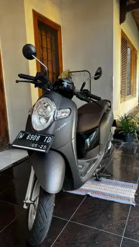 Scoopy Stylish 2020