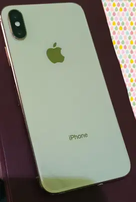 iphone xs max 256 GB ex inter