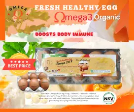 Telur omega 3 organic