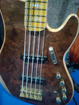 Bass gitar 5 string aktif