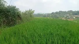 Sawah Produktif, 937 m, Darangdan, PWK.