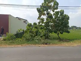 Tanah cocok untuk gudang dekat Pasar Daleman Baki