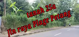 Dijual Tanah di pinggir Jln raya Plage Petang Badung Bali