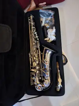 Saxophone alto harrier