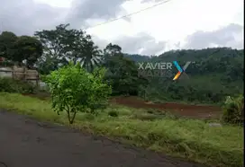 DIJUAL MURAH TANAH DI JEDONG, WAGIR, KAB. MALANG