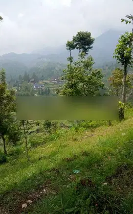 murah banget lahan area wisata usaha ciwidey