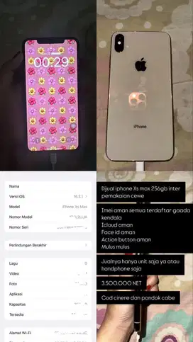 Iphone XS Max 256gb