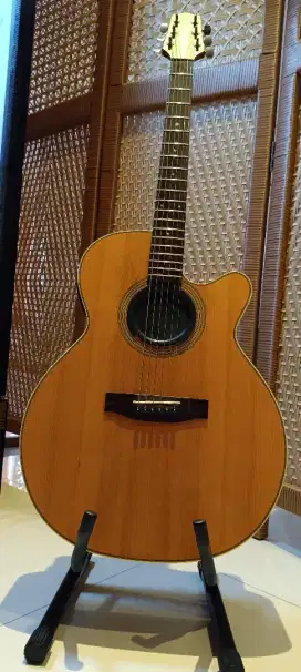 Gitar Takamine D Series