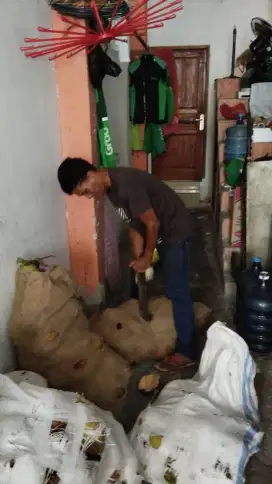 Dicari tukang kupas kelapa