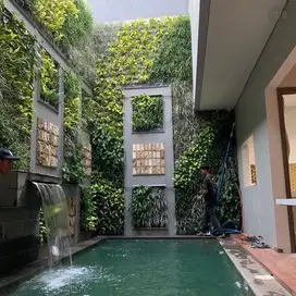 Paket Taman Vertical Garden Permeter