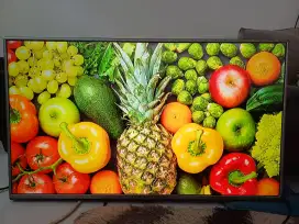 Led tv LG 42inchi masih analog normal jaya