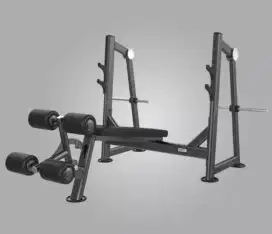 Olympic Decline﻿ Bench﻿ U3041