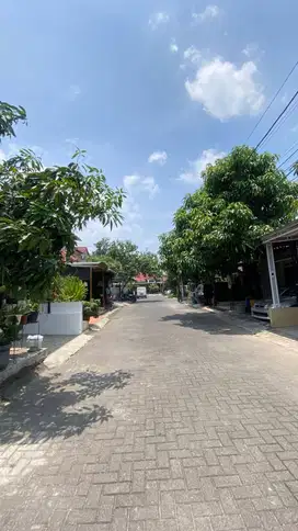 TURUN HARGA*DI JUAL RUMAH BARU DI KOMPLEK BESAR PINUS REGENCY BANDUNG