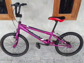 BMX Polygon lerun 20