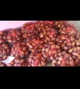 Menerima Reseller Salak minimal pembelian 100 kilo anter sampai tempat