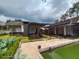 Tanah,rumah pribadi dan villa