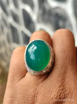 Bacan gulau hijau giwang