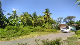 Tanah Bandara YIA Akses lebar View Sawah Jogja