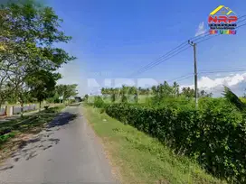 Dijual Tanah Strategis 500 Meter dari Jl. Raya Srono - Banyuwangi