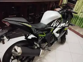Ninja 250 SL / MONO