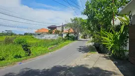 Tanah Tiying Tutul Mengwi Badung Bali