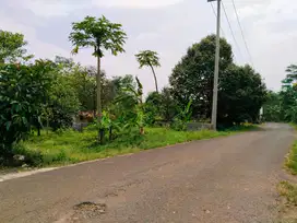 Jual Tanah Datar Di Jl. Raya Kiarapedes Purwakarta