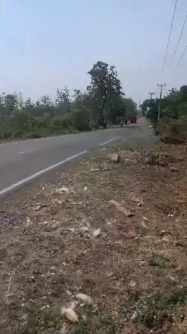 Tanah 3.280 m2 Dekat Exit tol Cikedung Indramayu
