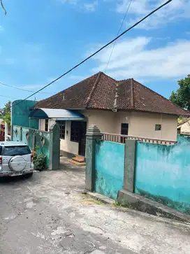 Disewakan Dikontrakan Rumah Lovina