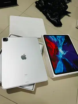 ipad pro 2020 12.9 inc 512 wifi seluler