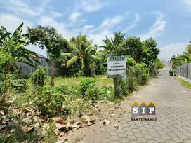 Dijual tanah siap bangun 50 meter dari jalan kepiting Sobo Banyuwangi