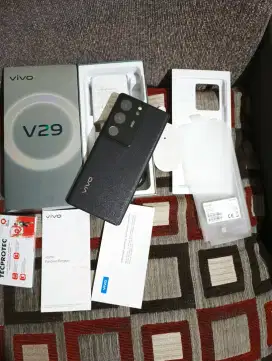 Vivo v29 5g 8/256