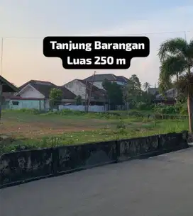 Dijual Tanah Tanjung Barangan 10x25