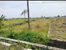 Tanah / lahan di Jombang