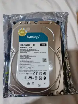 Harddisk Synology HAT3300-4T