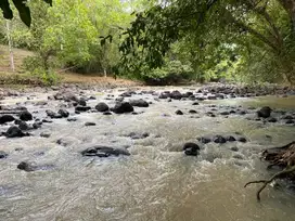 Jual tanah kebun los sungai dekat pantai murah di tabanan bali