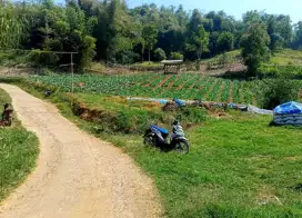 JUAL LAHAN PUNYA MATA AIR DI CIWIDEY