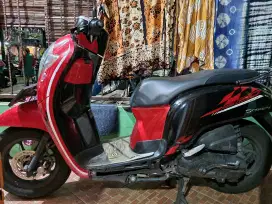 Honda Scoopy 2019