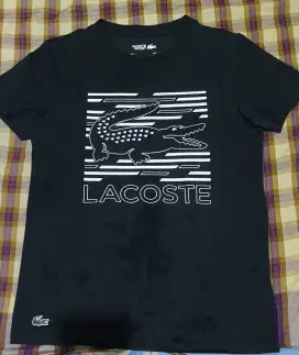 Baju Kaos Lacoste Size S  48 x 68